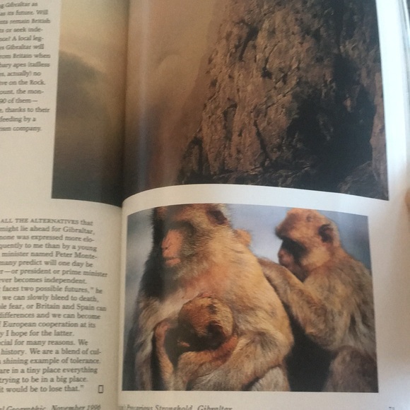 National Geographic Vol. 190 No. 5 November 1996 - Picture 11 of 14
